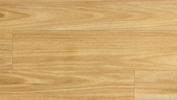 LAMINATE Tassie Oak