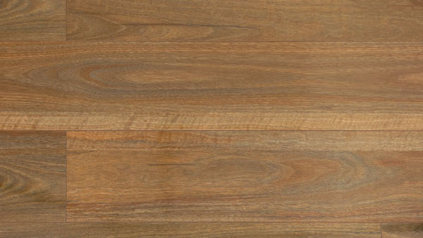 LAMINATE Spotted Gum Gloss