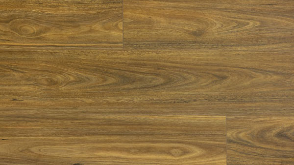 LAMINATE Spotted Gum Matt